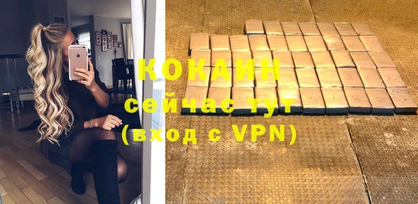 СК Коряжма