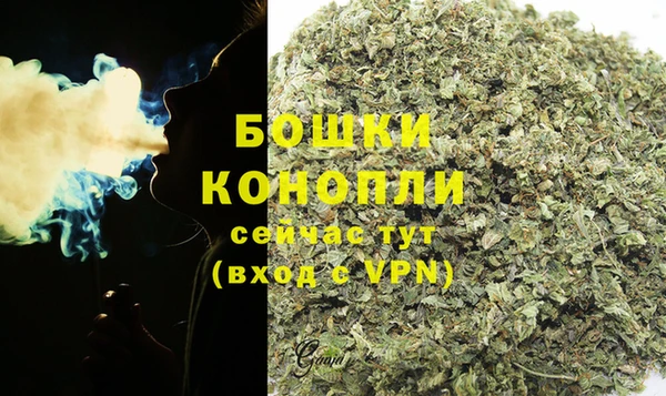 СК Коряжма