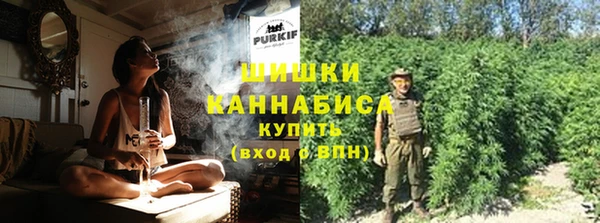 СК Коряжма