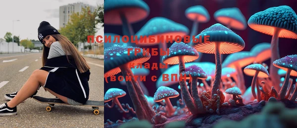 соль ск Краснослободск