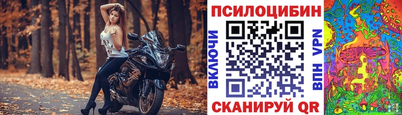 наркошоп Курлово Псилоцибиновые грибы GOLDEN TEACHER